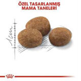 Royal Canin +7 Yaş Üzeri Kısırlaştırılmış Kedi Maması 1,5 Kg + 2 Adet Yaş Mama Hediye