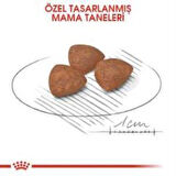 Royal Canin Mini Puppy Yavru Köpek Maması 2 kg + 2 Adet Yaş Mama Hediye