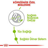 Royal Canin Adult X Small Köpek Maması 1,5 kg + 2 Adet Yaş Mama Hediye