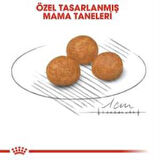 Royal Canin X-Small Küçük Irk Köpek Maması 3 Kg + 2 Adet Yaş Mama Hediye