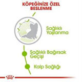 Royal Canin XSmall Ageing +12  Köpek Maması 1,5 kg + 2 Adet Yaş Mama Hediye