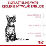 Royal Canin Kitten Sterilised Kısırlaştırılmış Yavru Kedi Maması 2 Kg + 2 Adet Yaş Mama Hediye