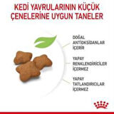 Royal Canin Kitten Sterilised Kısırlaştırılmış Yavru Kedi Maması 2 Kg + 2 Adet Yaş Mama Hediye