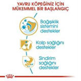 Royal Canin Cavalier King Charles Yavru köpek Maması 1,5 kg + 2 Adet Yaş Mama Hediye