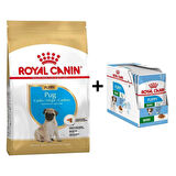 Royal Canin Pug Junior Yavru Köpek Maması 1,5 kg + 12 Adet Yaş Mama