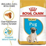 Royal Canin Pug Junior Yavru Köpek Maması 1,5 kg + 2 Adet Yaş Mama Hediye
