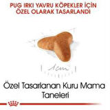 Royal Canin Pug Junior Yavru Köpek Maması 1,5 kg + 2 Adet Yaş Mama Hediye