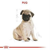 Royal Canin Pug Junior Yavru Köpek Maması 1,5 kg + 2 Adet Yaş Mama Hediye