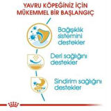 Royal Canin Pug Junior Yavru Köpek Maması 1,5 kg + 2 Adet Yaş Mama Hediye