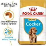 Royal Canin Cocker Junior Yavru Köpek Maması 3 kg + 2 Adet Yaş Mama Hediye