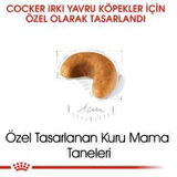 Royal Canin Cocker Junior Yavru Köpek Maması 3 kg + 2 Adet Yaş Mama Hediye