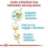 Royal Canin Cocker Junior Yavru Köpek Maması 3 kg + 2 Adet Yaş Mama Hediye