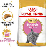 Royal Canin British ShortHair Kuru Yavru Kedi Maması 2 Kg