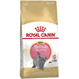 British Shorthair Kitten Kedi Kuru Maması 2 kg