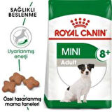 Royal Canin Mini Adult +8 Yaş Yaşlı Köpek Maması 2 kg + 2 Adet Yaş Mama Hediye