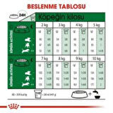 Royal Canin Mini Adult +8 Yaş Yaşlı Köpek Maması 2 kg + 2 Adet Yaş Mama Hediye