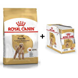 Royal Canin Poodle Adult Köpek Maması 3 Kg + 12 Adet Yaş Mama