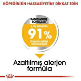 Royal Canin Mini Dermacomfort Yetişkin Köpek Maması 3 Kg + 2 Adet Yaş Mama Hediye