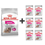 Royal Canin Mini Exigent Köpek Maması 3 Kg + 6 Adet Yaş Mama