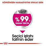 Royal Canin Mini Exigent Köpek Maması 3 Kg + 2 Adet Yaş Mama Hediye