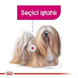 Royal Canin Mini Exigent Köpek Maması 3 Kg + 2 Adet Yaş Mama Hediye