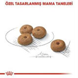 Royal Canin Mini Sterilised Kısır Köpek Maması 3 Kg + 2 Adet Yaş Mama Hediye