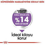 Royal Canin Mini Sterilised Kısır Köpek Maması 3 Kg + 2 Adet Yaş Mama Hediye