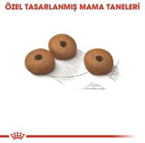 Royal Canin Light Weight Kedi Maması 1,5 Kg + 2 Adet Yaş Mama Hediye