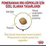Royal Canin Pomeranian Yetişkin Köpek Maması 3kg + 2 Adet Yaş Mama Hediye