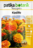 50 Adet Bodur Kadife Çiçek Tohumu (Tagetes L.)