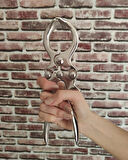 Küçükbaş Burdizo Burma Pensi 23 cm