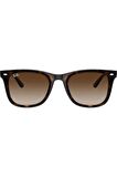 RB4420 (710/13) 65 | Unisex Kahverengi Güneş Gözlüğü