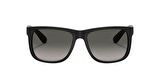 RAY-BAN GÜNEŞ RBG0RB4165 601-8G 55