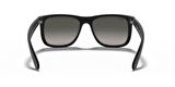 RAY-BAN GÜNEŞ RBG0RB4165 601-8G 55