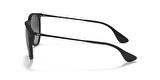 RAY-BAN GÜNEŞ RBG0RB4171 622-8G 54