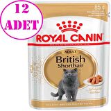 Royal Canin British Shorthair Yetişkin Kedi Konservesi 85 Gr 12 Ad