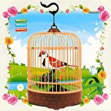 Oyuncak Taşınabilir Kafesli Büyük Kuş - Müzik ve Sesli Eğlenceli Kuş
