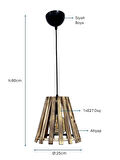 Siyah Boyalı Tekli Avize PLC-1220-AV-BSY