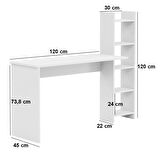 Reyo Kitaplıklı Fonksiyonel Çalışma Masası MS2 Çam