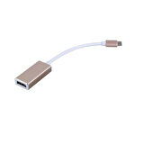 4448 Usb 3.1 Type C To Displayport Çevirici Dönüştürücü Adaptör