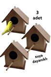 Ahşap Kayın Kuş Yuvası Kuş Evi Dış Mekan Suya Dayanıklı 3 Adet 14x14x19cm
