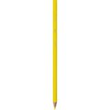 Bic Kids Evolution Kuru Boya 12'Li Metal Kutu