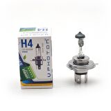 H4 Standart Halogen Ph5504