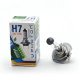 H7 24V 70W Standart Halogen