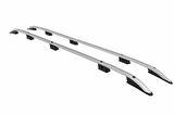 Turtle Cıtroen Dıspatch (Mk3) Van 17- / L3 Long Crown Tavan Çıtası Gri