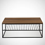 Pasific Home Etna Metal Ayaklı Orta Sehpa, Raflı Dikdörtgen Sehpa, Ceviz