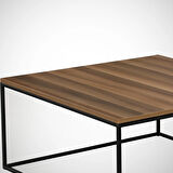 Pasific Home Poly Metal Orta Sehpa, Kare Orta Sehpa, Ceviz