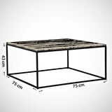 Pasific Home Poly Metal Orta Sehpa, Kare Orta Sehpa, Ceviz