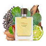 Hermes Terre D Hermes Eau Intense Vetiver EDP 200 ml Erkek Parfüm