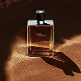 Hermes Terre D Hermes Eau Intense Vetiver EDP 200 ml Erkek Parfüm